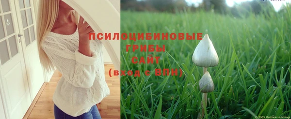 прущие крисы Алзамай