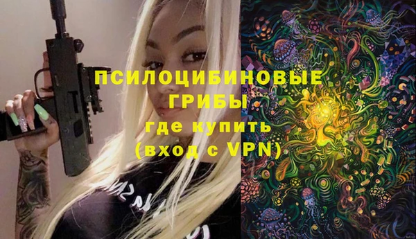 бутират Алексин