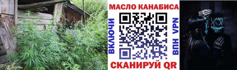 Купить  Томмот  ТГК гашишное масло 